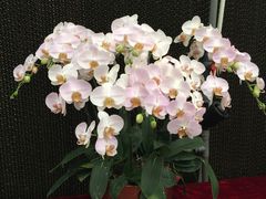 -兰陵国家农业公园