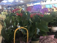 -茶马花街(城西银泰城店)