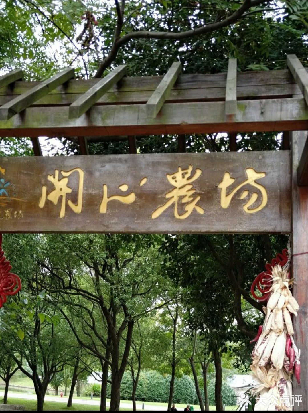 春日遛娃打卡佘山
