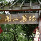 春日遛娃打卡佘山