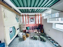 -喵屿·大理花园猫咖