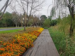 -长田漾湿地公园