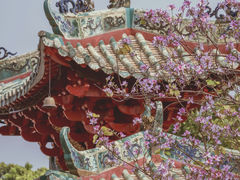 -佛山市祖庙博物馆