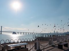 -星海广场