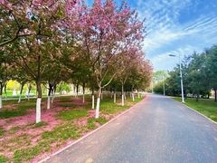 -石家庄市植物园