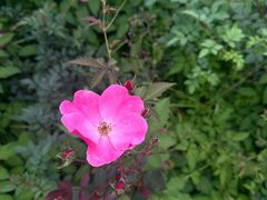 -汉长安城未央宫国家考古遗址公园