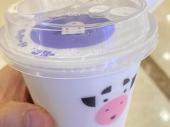 -一只酸奶牛(百联南岸上海城店)