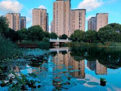 -新江湾城公园