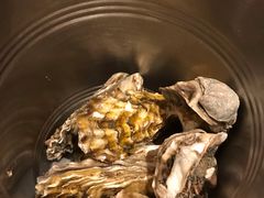 -星伦多 自助料理(圆融店)