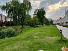 -洛阳市隋唐城遗址植物园