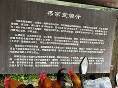 -杨家堂村