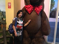 -济州岛泰迪熊博物馆