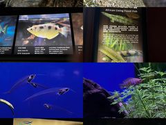 -上海海洋水族馆