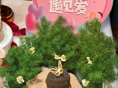 -王品牛排(新辰里亚运村店)