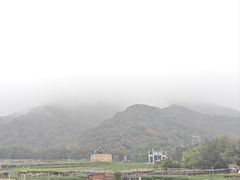 -午潮山国家森林公园