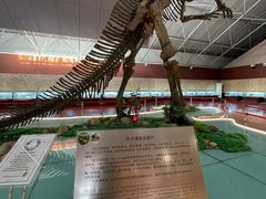 -诸城市恐龙博物馆