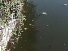 -郑州方特梦幻王国