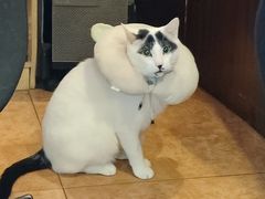 -维吾尔餐厅(宜山路店)