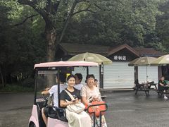 -灵谷景区