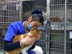 -康乐宝动物医院