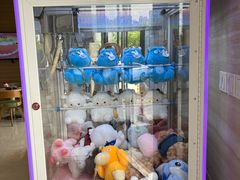 -卓尔美笑口腔·种植·矫正·儿童颜面管理(辽宁街店)