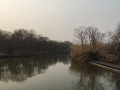 -溱湖国家湿地公园