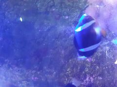 android_upload_pic-郑州海洋馆