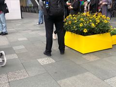 -Apple零售店(成都太古里店)