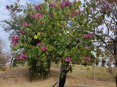 -中国移动南方基地