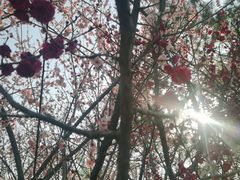 -白塘生态植物园