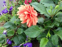 iphone_upload_pic-HOME餐厅粤菜 融合菜