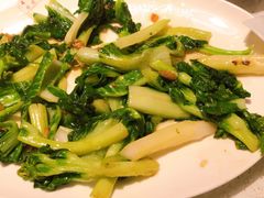 才猪油渣白菜苔-79号渔船海鲜饭店(宝安店)