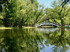 -上海共青森林公园