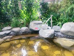 -台山颐和温泉城