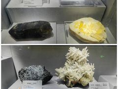 -湖南省地质博物馆