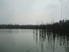 -白鹭湾湿地公园