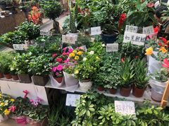-秦美花卉(天朗·莱茵小城2期店)
