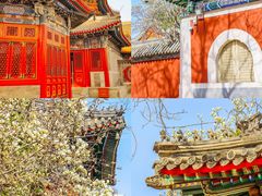 -北京艺术博物馆(万寿寺)