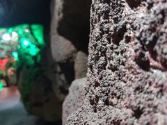 -游龙石文化科普馆