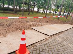 -上海海湾国家森林公园