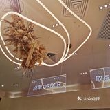 这股“椿风”吹到广州啦！首家养身茶饮，不来品尝一下吗[调皮]