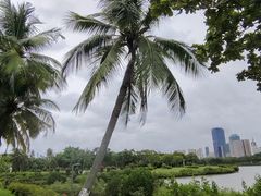 -万绿园