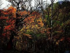 -叠溪松坪沟景区