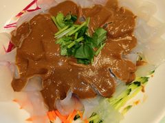 东北大拉皮-福来居烤鸭店(天坛二店)