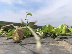 -虞山城墙