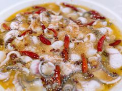 -青花椒花椒鱼(合生汇店)