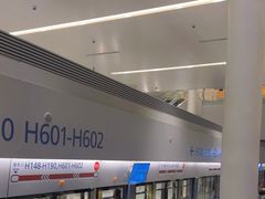 -上海浦东国际机场-T2航站楼