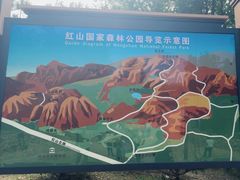 -红山国家森林公园