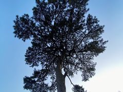-秦岭终南山世界地质公园翠华山景区