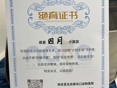 -纳吉亚猫专科动物诊疗中心(蒋宅口分院)